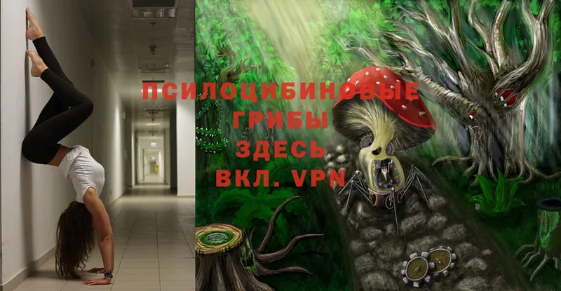 Галлюциногенные грибы Magic Shrooms  Бокситогорск 